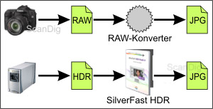 Comparison raw data elaboration digital camera - scanner