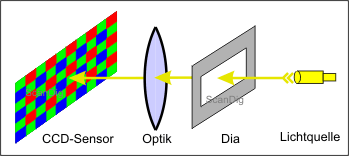 Abbildung 3: In einem Filmscanner durchstrahlt eine Lichtquelle das Dia, und der dahinter liegende Sensor misst das eintreffende Lichtsignal.