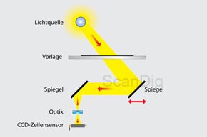 Flachbettscanner - Durchlichtscans